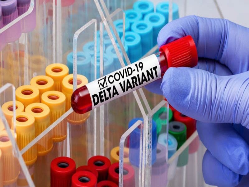 CoronaVirus : 18 people who were vaccinated contracted Delta Plus | CoronaVirus : लस घेतलेल्या १८ जणांना डेल्टा प्लसची लागण