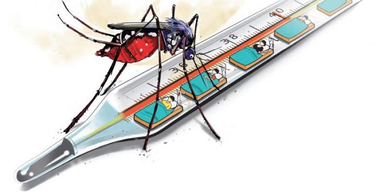 By the end of September, the number of dengue and malaria patients will increase | सप्टेंबर अखेर डेंग्यू, मलेरियाचे रूग्ण वाढणार
