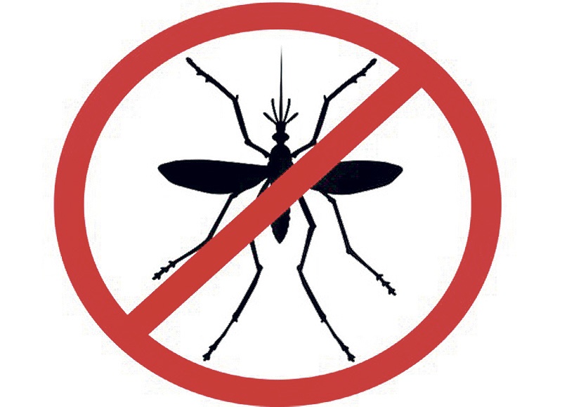  Dengue effect in Nashik city dips, swine flu outbreak | नाशिक शहरात डेंग्यूचा प्रभाव ओसरला, स्वाइन फ्ल्यूही हद्दपार
