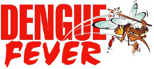  Dengue sufferers found 15 days in Nashik city | नाशिक शहरात पंधरा दिवसात आढळून आले डेंग्यूचे ८२ रुग्ण