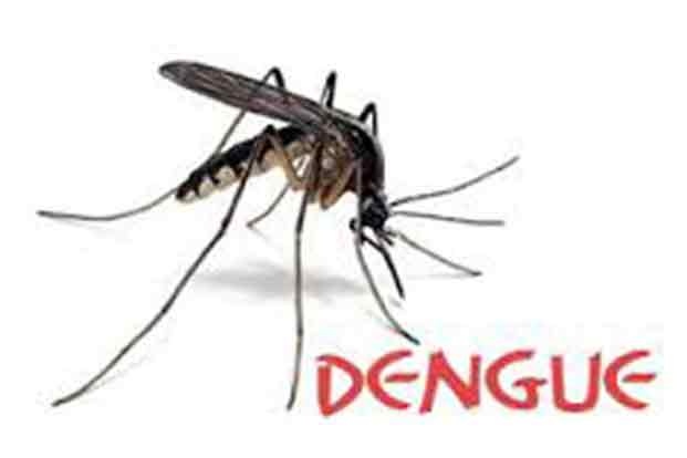 Dengue noose tight; Confirm number of patients on 21 in Akola | डेंग्यूचा विळखा घट्ट; ‘कन्फर्म’ रुग्णांचा आकडा २१ वर 