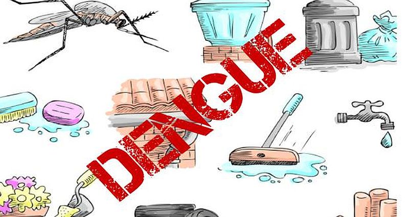 Prepare action plan for dengue prevention measures | डेंग्यू प्रतिबंधक उपाययोजनांचा कृती आराखडा तयार