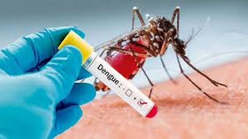 Dengue spreading in Buldana district; System Alert! | बुलडाणा जिल्ह्यात डेंग्यू पसारताेय पाय; यंत्रणा अलर्ट!