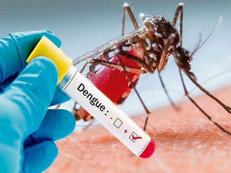 dengue cases in maharashtra in Pune highest number dengue cases | Dengue | पुणेकरांनो काळजी घ्या! राज्यात डेंग्यूच्या रुग्णसंख्येतही पुणे ‘टाॅप’