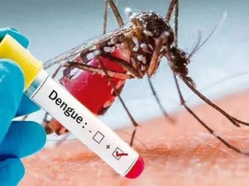 The prevalence of dengue and chikungunya started increasing in Satara district | सातारा जिल्ह्यात डेंग्यू रुग्णसंख्या शंभरीपार, चिकुनगुण्याचाही प्रादुर्भाव वाढला