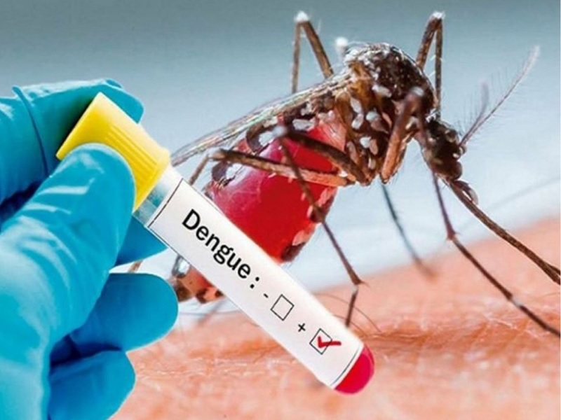 Pimpri-Chinchwadkars be careful! Dengue fever on the rise, affecting 81 people | पिंपरी-चिंचवडकरांनो काळजी घ्या! डेंग्यूचा ताप वाढला, ८१ जणांना बाधा
