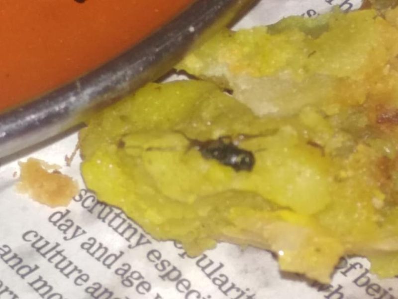 Insects found in food at Deola! | देवळा येथील खाद्यपदार्थात आढळले किडे!