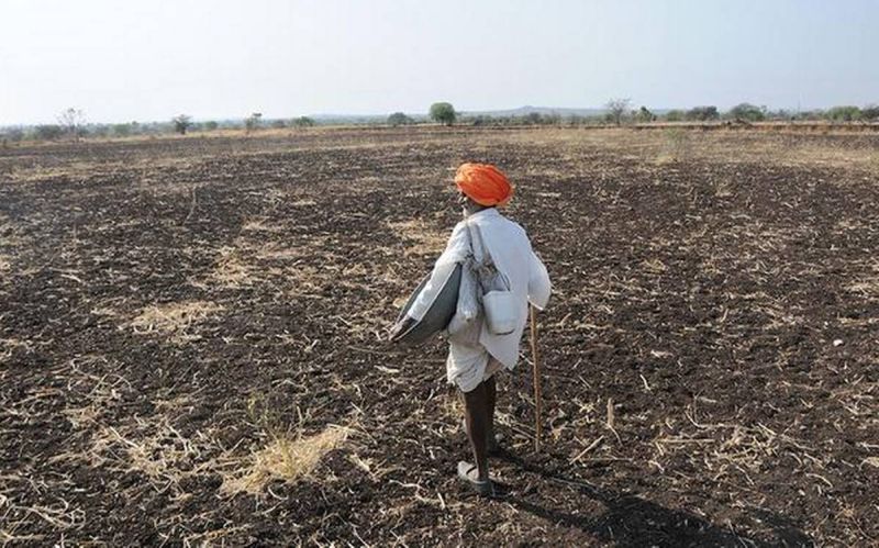 Deprived farmers will also get crop loss compensation | वंचित शेतकऱ्यांनाही मिळणार पीक नुकसानभरपाई 