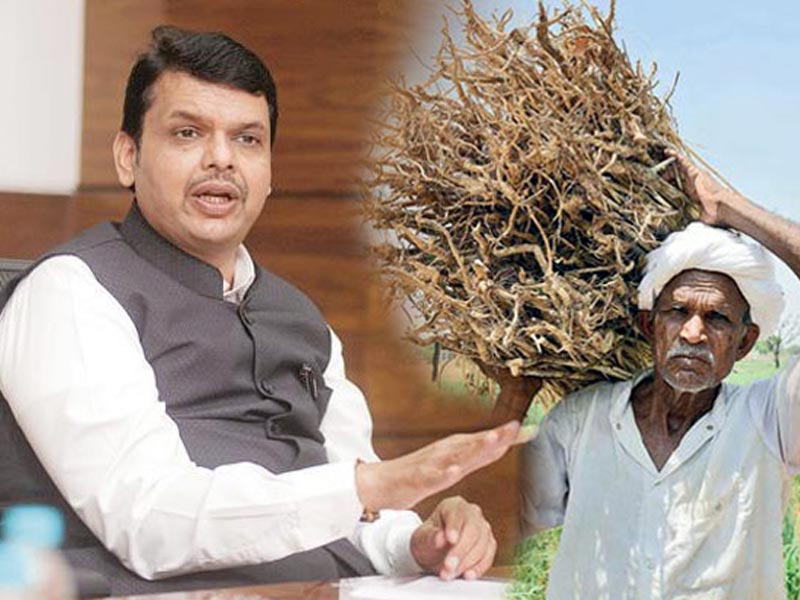 Goverment should think on farmers night life over rich people's child : Devendra Fadnavis | श्रीमंतांच्या पोरांची नाही तर शेतकऱ्यांच्या नाईट लाईफची चिंता करा : देवेंद्र फडणवीस