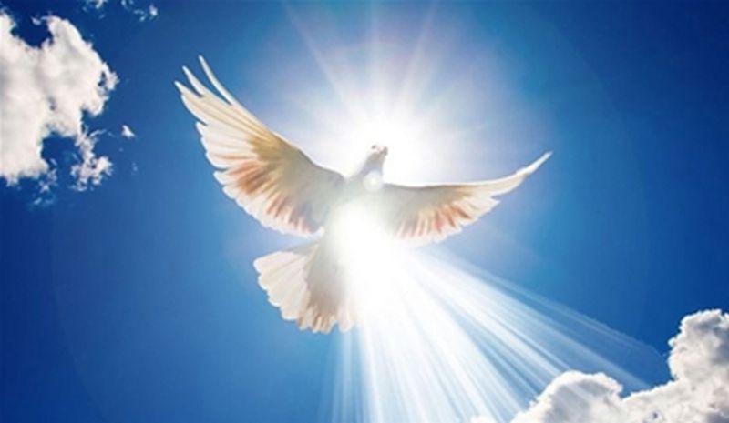 Wings should be heavenly, fairy devotional | पंख असावे आकाशाचे, परी उंबरठ्यावर भक्ती