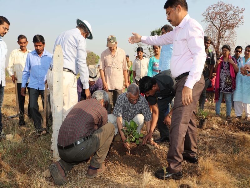 Deorai Project concludes on completion of completion of project in Ratwade, Titwala, under Environmental Vigilance Board | पर्यावरण दक्षता मंडळ या स्वयंसेवी संस्थेच्या अंतर्गत रुंदे, टिटवाळा येथे देवराई प्रकल्प वर्षपूर्ती सोहळा संपन्न
