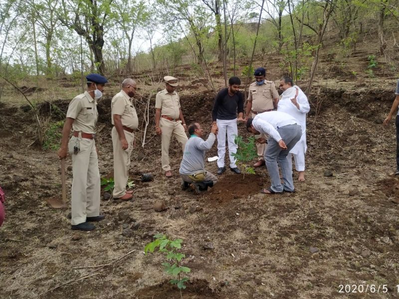 Our environmental organization: Add another 835 saplings in 'Devarai' | आपलं पर्यावरण संस्था : ‘देवराई’मध्ये अजून ८३५ रोपांची भर