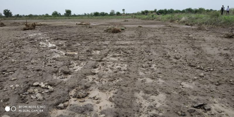 466 farmers hit by heavy rains | ४६६ शेतकऱ्यांना बसला अतिवृष्टीचा फटका 