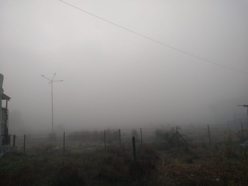 A sheet of fog spread over Sangli | सांगलीत पसरली धुक्याची चादर