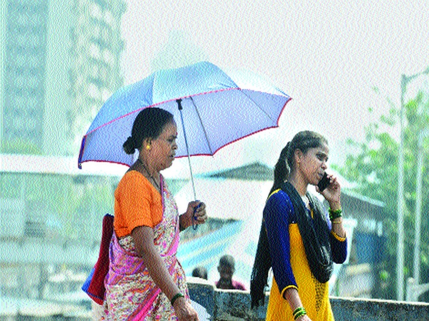 The monsoon returns after a month's delay | महिनाभराच्या विलंबानंतर मान्सून परतला