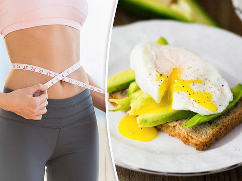 For weight loss start your day with fiber and protein breakfast | वजन कमी करायचंय? मग फायबर तत्त्व असलेल्या नाश्त्याने करा दिवसाची सुरूवात