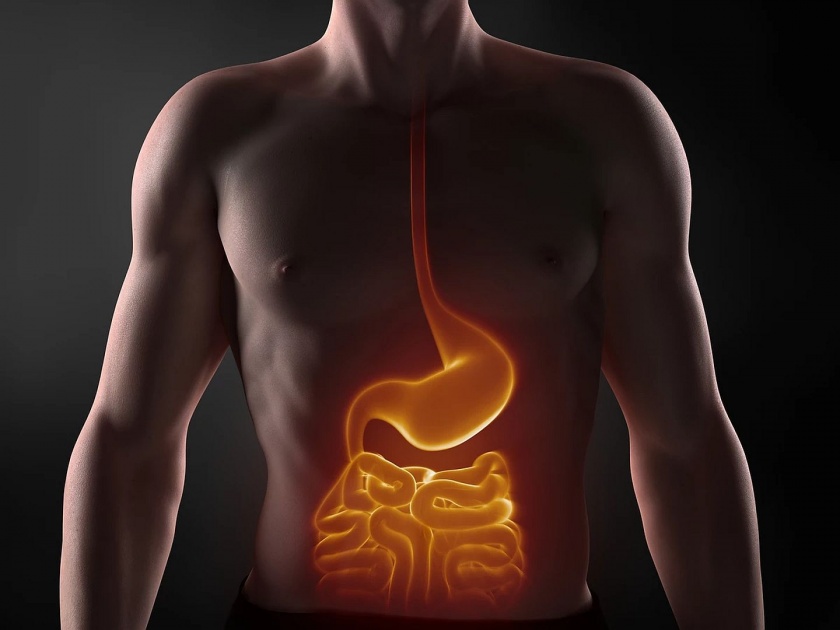 How do you know your digestive system is healthy? | पोटातील अन्न पचन होतंय किंवा सडतंय हे कसं कळेल?