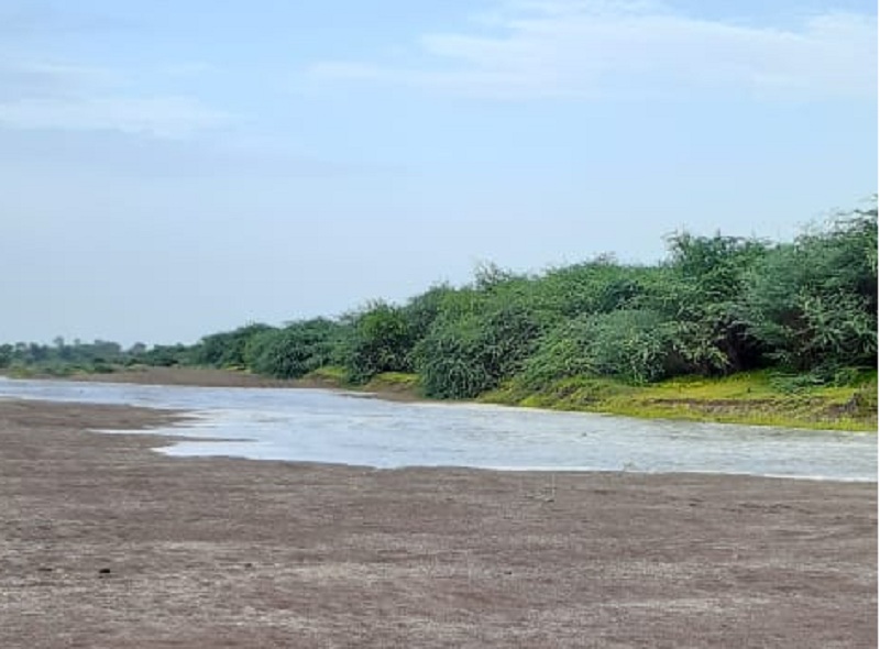 Farmers are happy that the water of Jayakwadi has reached the godawari besin of Digras | जायकवाडीचे पाणी डिग्रसच्या गोदापात्रात पोहोंचल्याने शेतकरी आनंदी