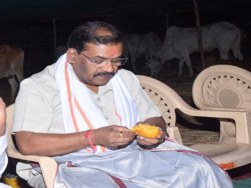 after dhapate and mangoes dinner guardian minister kamabale on drought survey spend night at Goshala | दुष्काळ पाहणी दौऱ्यावर असलेल्या पालकमंत्र्यांनी धपाटे आणि आंबे खाऊन काढली गोशाळेत रात्र