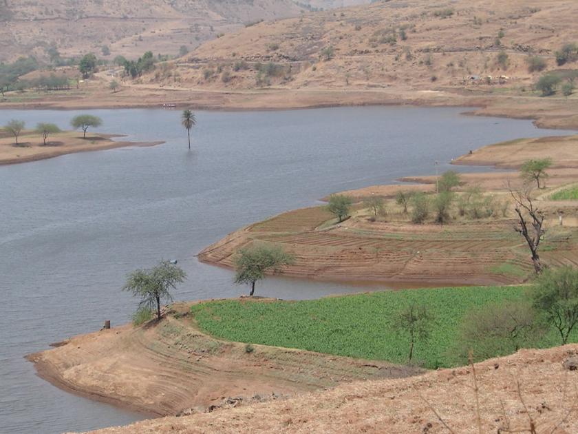 The catchment area of Dimbhe Dam has been emptied rapidly, the tribals are suffering from drought | Pune: डिंभे धरणाचे पाणलोट क्षेत्र झपाट्याने झाले रिकामे, आदिवासी बांधवांना दुष्काळाच्या झळा