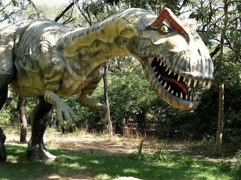India gets its first dinosaur museum and fossil park in gujarat | इथे आहे भारतातील पहिलं डायनासोर म्युझिअम आणि फॉसिल पार्क