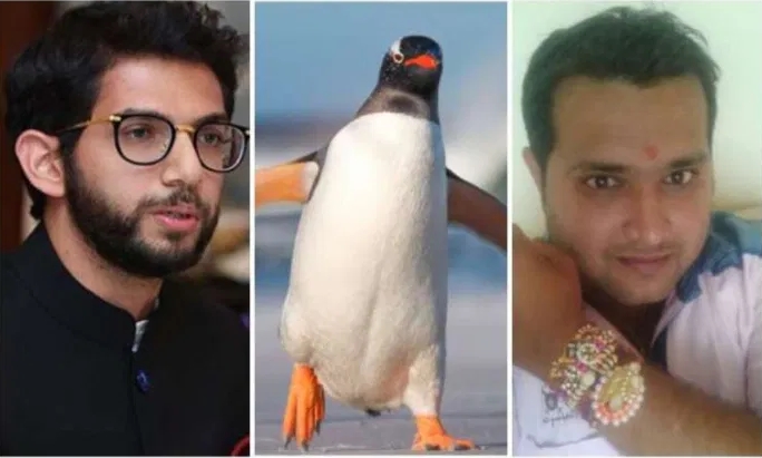 Samit Thakkar arrested for calling Aditya Thackeray a baby penguin | आदित्य ठाकरेंना बेबी पेंग्विन म्हणणाऱ्या ठक्करला अटक, आज कोर्टात हजर होणार
