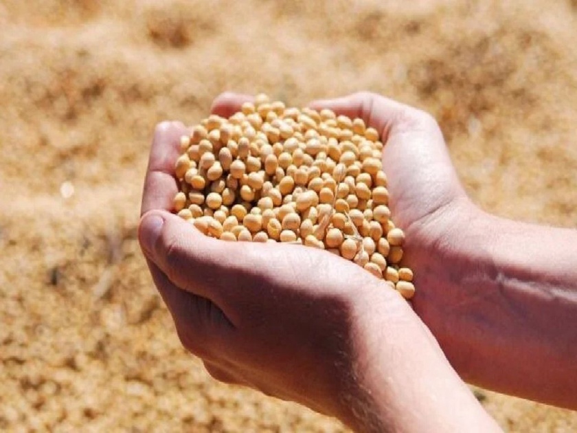 25 kg of soybeans per acre, how to pay threshing cost?, farmers' pain | एकराला २५ किलो सोयाबीन, मळणीचा खर्च द्यायचा कसा?, शेतकऱ्यांची व्यथा