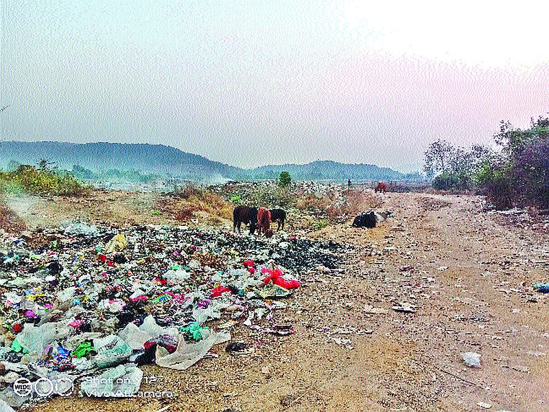 Death of cattle at dumping ground in Birwadi; Farmers should not give up cattle slaughter, police call | बिरवाडीत डम्पिंग ग्राउंडवर गुरांचा मृत्यू; शेतकऱ्यांनी गुरे मोकाट सोडू नयेत, पोलिसांचे आवाहन