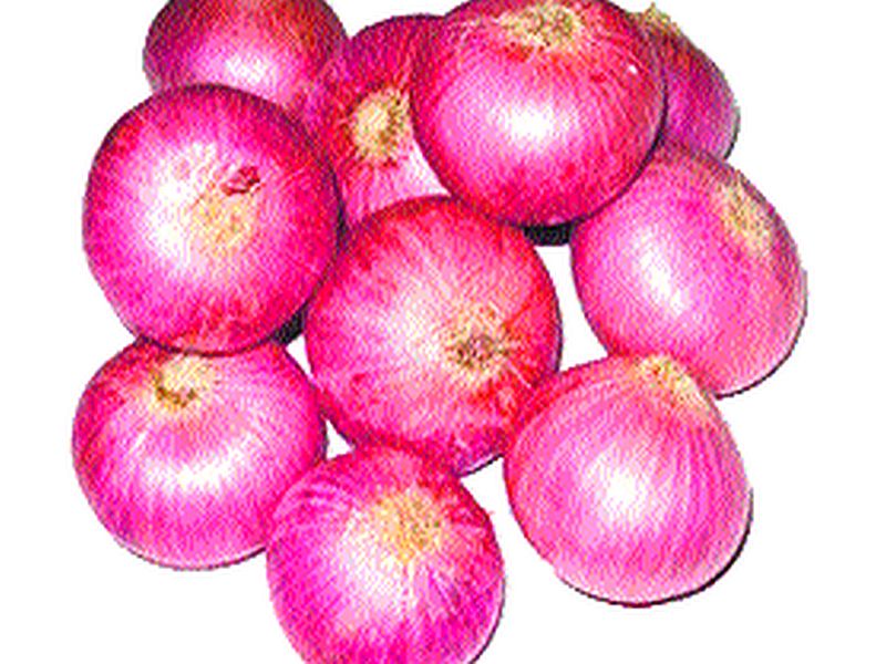 Onion scarcity continues throughout the state due to loss of crops due to rain | पावसाने पिकांचे नुकसान झाल्याने राज्यभर कांद्याची टंचाई सुरूच