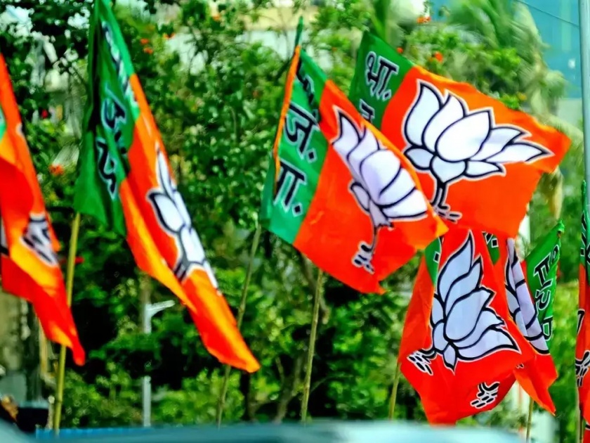 South victory gateway for BJP | भाजपसाठी दक्षिण विजयाचे प्रवेशद्वार