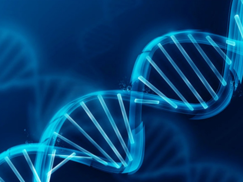 'DNA' test revealed sarpanch's false quate... | ‘डीएनए’ने चाचणीने केली सरपंचाची पोलखोल...