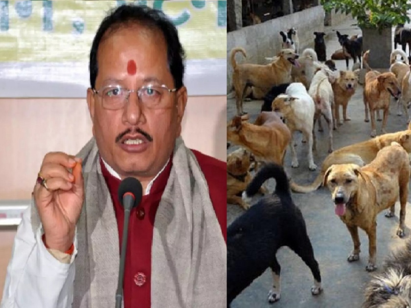 JDU organizes grand mutton party; Thousands of dogs suddenly disappeared in the city, a serious allegation of BJP | जेडीयूकडून भव्य मटण पार्टीचे आयोजन; अचानक शहरातील हजारो कुत्रे गायब, भाजपचा गंभीर आरोप