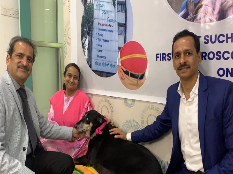 First surgery on obese dog in India! Weight loss was 5 kg | भारतात लठ्ठ श्वानावर पहिलीच शस्त्रक्रिया! वजनात तब्बल पाच किलोनं झाली घट