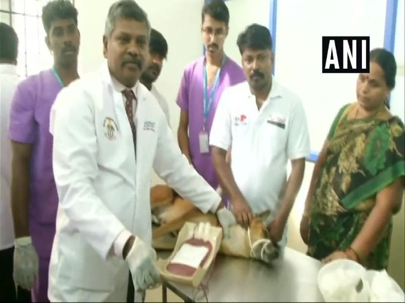 Madras Veterinary College conducted a voluntary dog blood donation camp on its campus | चेन्नईत कुत्र्यांचं रक्तदान शिबीर, मद्रास व्हेटर्निटी कॉलेजचा अनोखा उपक्रम