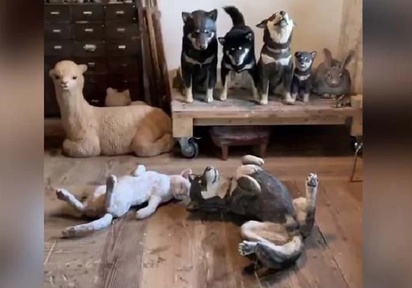 spot the real dog among life size wooden replicas video goes viral | Viral Video: असली नकली मधला फरक ओळखा; या Statues मधील खरा कुत्रा शोधून दाखवा...