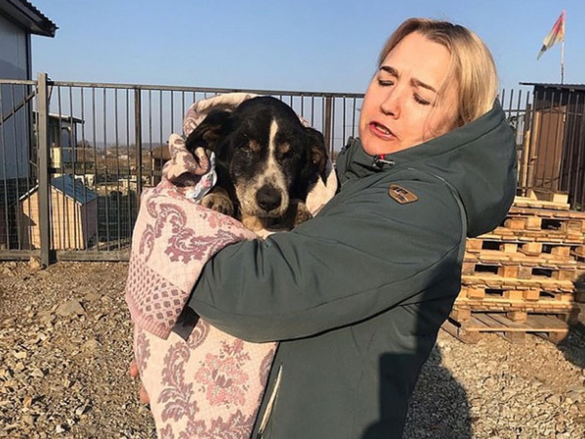 Dead dog digs his grave and returns stunned to Russian owners | ...जेव्हा मृत समजून दफन केलेला कुत्रा मालकाच्या घरी परततो