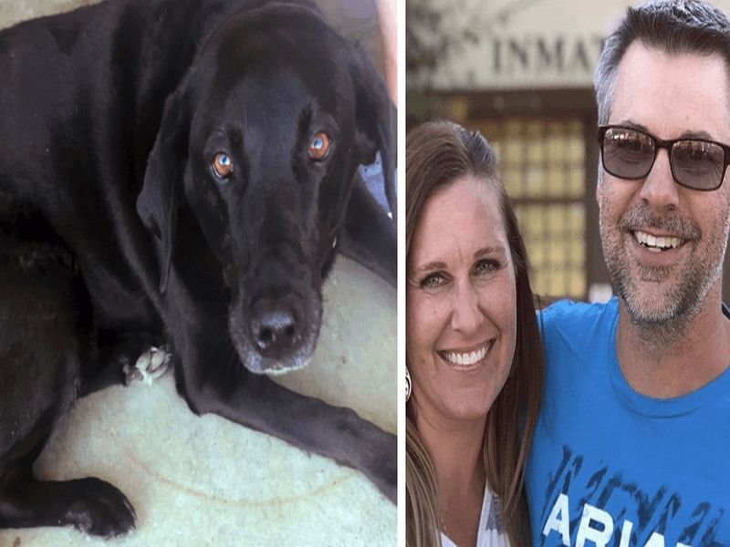 dog saves man from serving 50 years jail term | कोर्टाने सुनावली होती ५० वर्षांची शिक्षा, श्वानाच्या मदतीने असा ठरला हा व्यक्ती निर्दोष