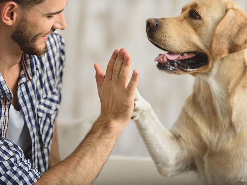Get Dog Therapy and Get Rid of Sickness! | ‘डॉग थेरपी’ घ्या, आजार पळवा!