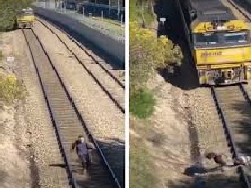 dog got stuck on the railway track, then the train came in front; Watch the shocking VIDEO | रेल्वे ट्रॅकवर अडकला कुत्र्याचा पट्टा, तेवढ्यात समोरुन आली ट्रेन अन्; पाहा थरकाप उडवणारा VIDEO