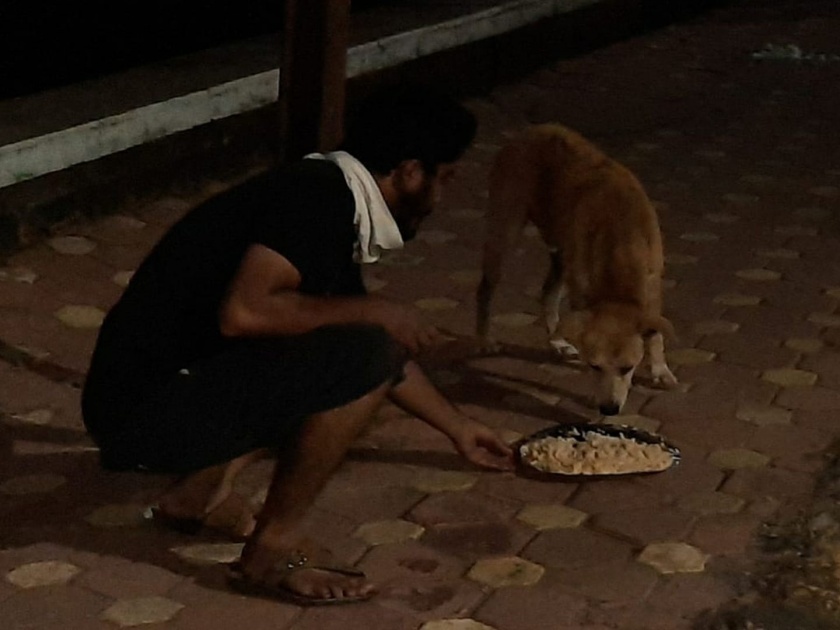 Coronavirus: Sawantwadi youngsters help to feed street dogs vrd | Coronavirus: एक घास मुक्या प्राण्यासाठी...; सावंतवाडीत तरुणांची भूतदया