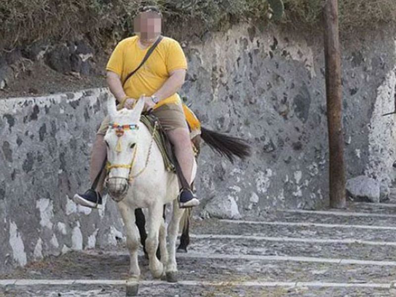 Donkey riding greece make law for donkeys, Fat tourists ban on riding donkeys | ग्रीसमध्ये गाढवांसाठी खास कायदे, होणार हे फायदे!