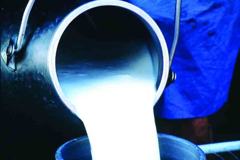  Milk prices rise by five rupees in Akola | अकोल्यात पाच रुपयांनी वधारले दुधाचे भाव