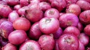  Who is the Wally of the Onion Producers? No punches | कांदा उत्पादकांचा वाली कोण? पंचनामे होईनात