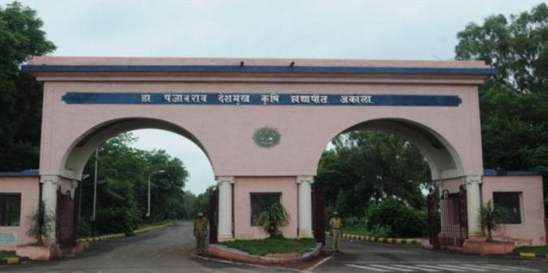 Dr. Punjabrao Deshmukh Agricultural University ranks high in national level rankings | डॉ. पंजाबराव देशमुख कृषी विद्यापीठाची राष्ट्रीय स्तरावरील रँकिंगमध्ये भरारी