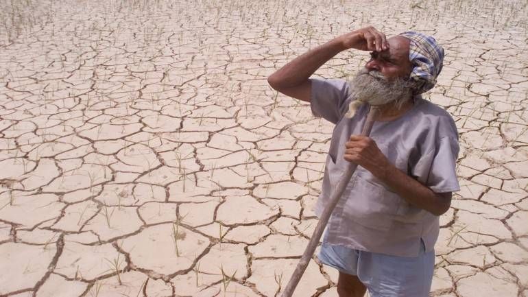 Eight Revenue Circles of Nagpur District in the Drought List | दुष्काळाच्या यादीत नागपूर जिल्ह्यातील आठ महसूल मंडळ