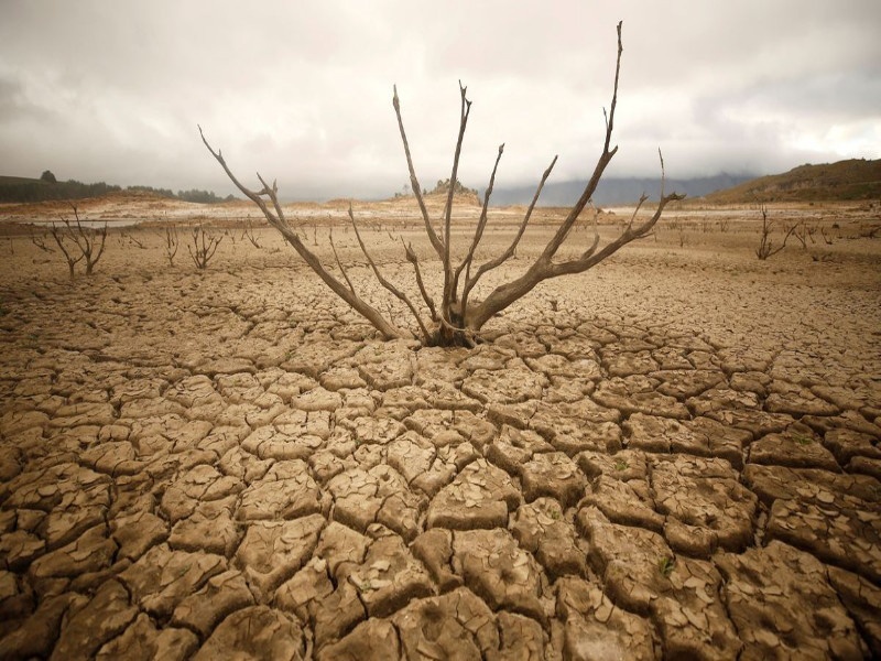 The severe drought crisis at Purandhar taluka | पुरंदर तालुक्यावर भीषण दुष्काळाचे संकट