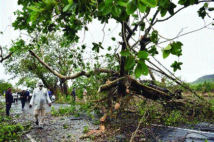 The cyclone caused crores of rupees in Raigad | चक्रीवादळामुळे रायगडमध्ये कोट्यवधींचे झाले नुकसान