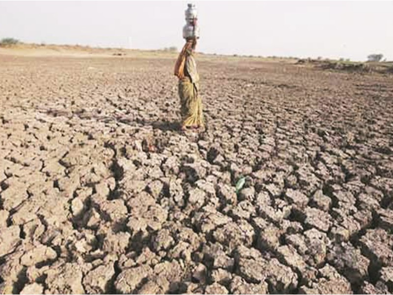 rise in the prise of grain due to drought in state | दुष्काळाच्या चटक्याने गरिबाची भाकरी करपली