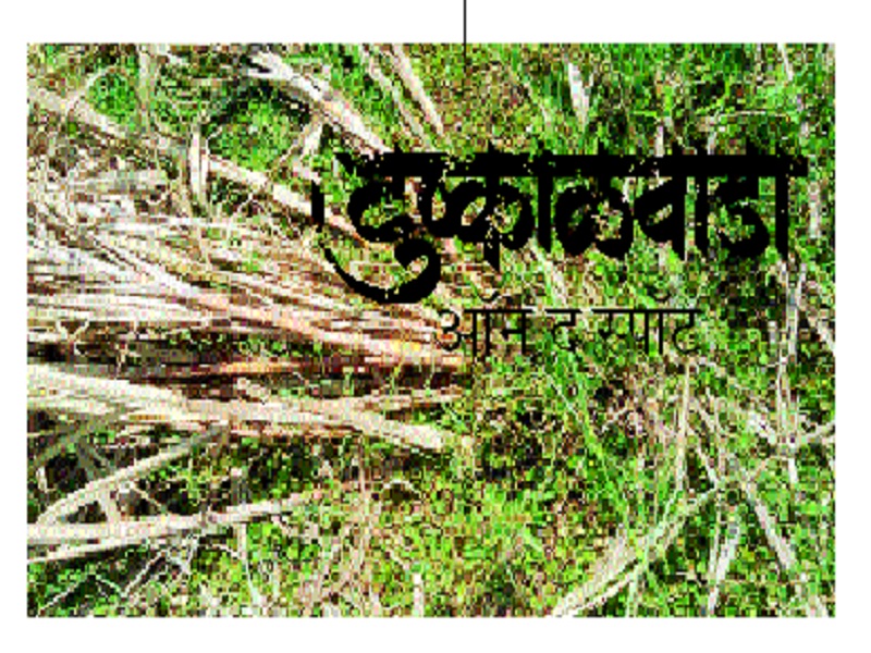 Drought In Marathwada: richness of Godavari basin is spoiled by drought | Drought In Marathwada : गोदाकाठी असलेली समृद्धी यंदाच्या दुष्काळाने हिरावली