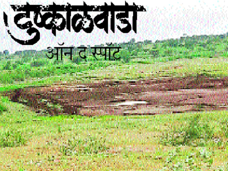 Drought in Marathwada: Fertile farming near Manjara bank area was destroyed due to the nature! | Drought In Marathwada : लहरी निसर्गामुळे मांजराकाठची सुपीक शेती उद्ध्वस्त झाली !